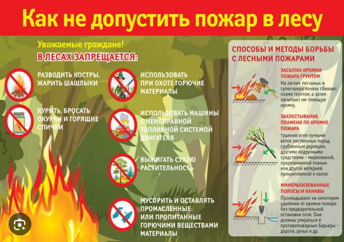 Снимок экрана 2024-04-11 090154.png